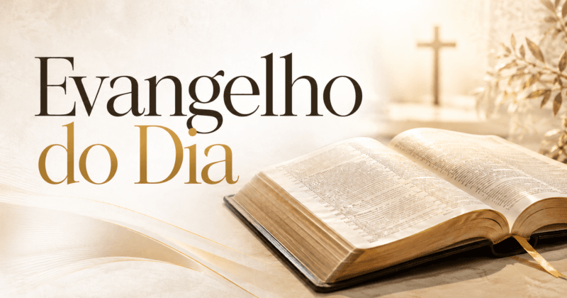 Liturgia Diária e Evangelho do Dia 23 de Junho de 2026: Mt 7,6.12-14