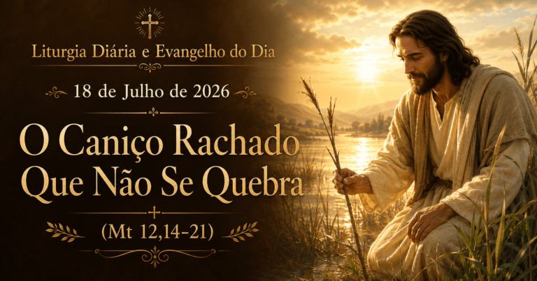 Reflexão do evangelho do dia 18 de julho de 2026 sobre o caniço rachado que não se quebra