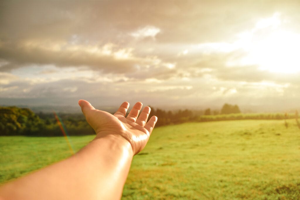 Pedi ao dono da messe, ensina o evangelho do dia 7 de julho