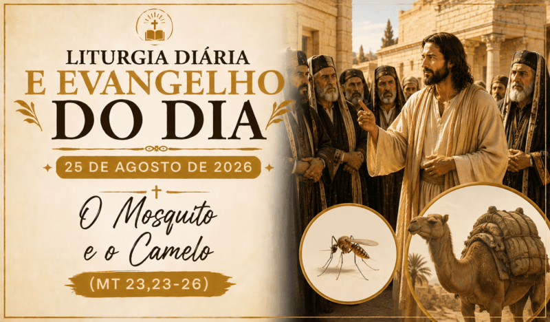 Liturgia Diária e Evangelho do Dia 25 de Agosto de 2026: O Mosquito e o Camelo (Mt 23,23-26)