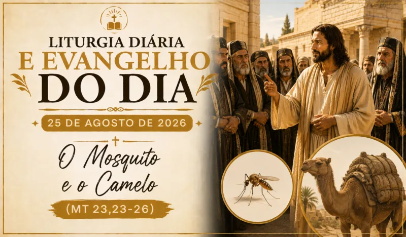 Liturgia Diária e Evangelho do Dia 25 de Agosto de 2026: O Mosquito e o Camelo (Mt 23,23-26)
